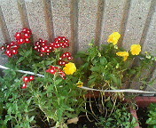 f:id:heimin:20060627154200j:image