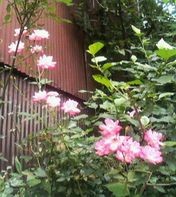 f:id:heimin:20060628143200j:image