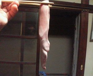 f:id:heimin:20061111000300j:image