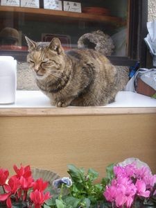 f:id:heimin:20061216113856j:image