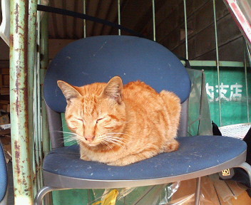 f:id:heimin:20070424203106j:image
