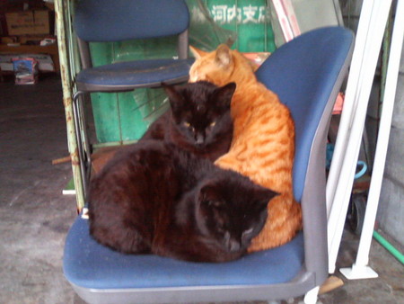 f:id:heimin:20070424204245j:image