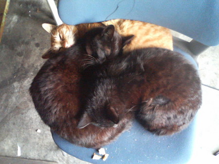 f:id:heimin:20070424204903j:image