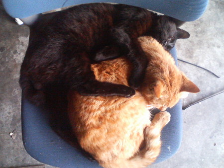 f:id:heimin:20070424210355j:image