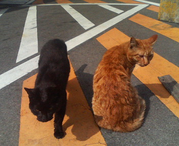 f:id:heimin:20070424211204j:image