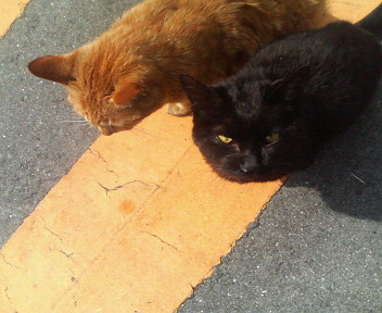 f:id:heimin:20070424211207j:image