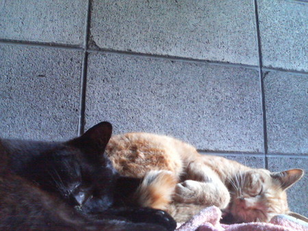 f:id:heimin:20070424212509j:image