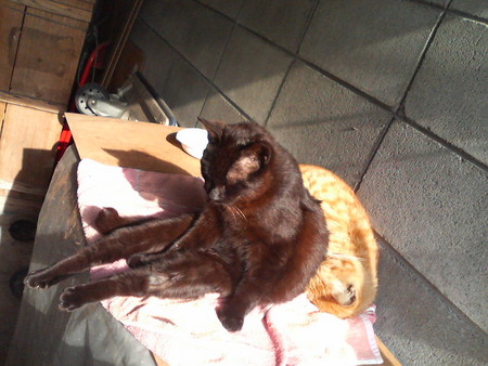 f:id:heimin:20070424212511j:image