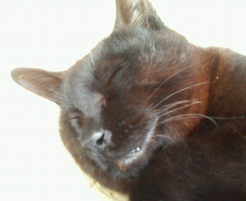 f:id:heimin:20070424212848j:image