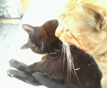 f:id:heimin:20070424212850j:image