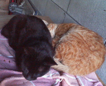 f:id:heimin:20070424213302j:image
