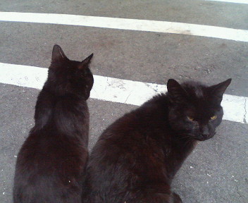 f:id:heimin:20070424214209j:image