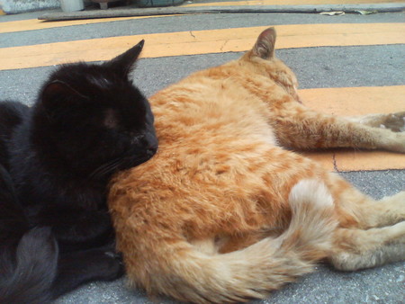f:id:heimin:20070424215753j:image