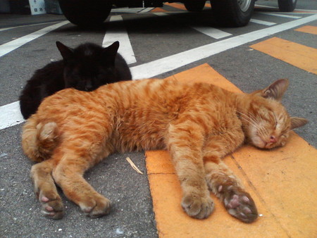 f:id:heimin:20070424215756j:image