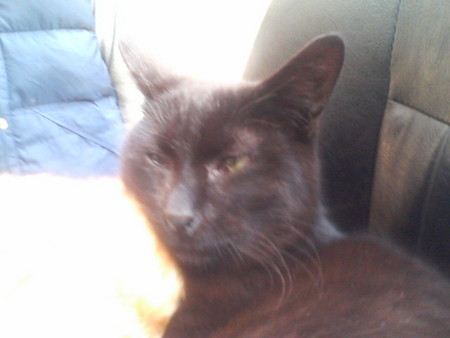 f:id:heimin:20070424220805j:image