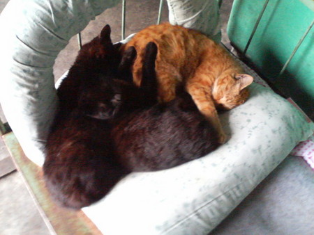 f:id:heimin:20070424221349j:image