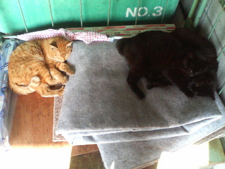 f:id:heimin:20070424221352j:image