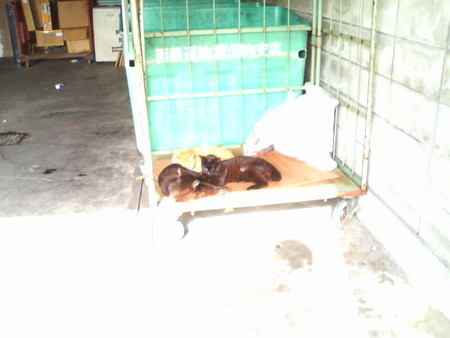 f:id:heimin:20070424221542j:image