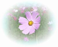 f:id:heimin:20070809115914j:image