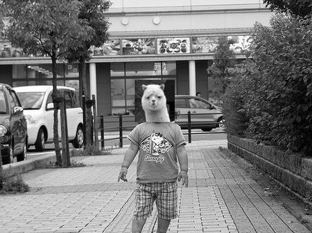 f:id:heimin:20070908222939j:image
