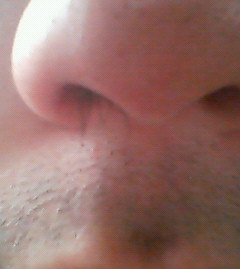 f:id:heimin:20081003133450j:image f:id:heimin:20081003133450j:image