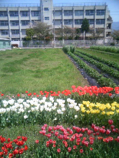 f:id:heimin:20081003144635j:image f:id:heimin:20081003144635j:image
