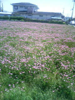 f:id:heimin:20081003144636j:image f:id:heimin:20081003144636j:image