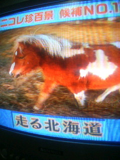 f:id:heimin:20081003144639j:image f:id:heimin:20081003144639j:image