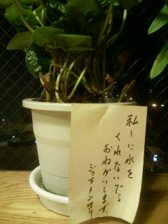 f:id:heimin:20081003144727j:image f:id:heimin:20081003144727j:image