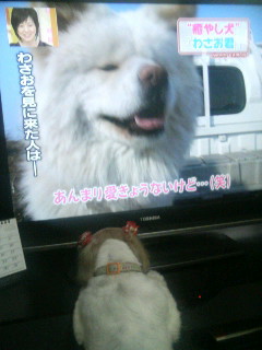 f:id:heimin:20100102042547j:image f:id:heimin:20100102042547j:image