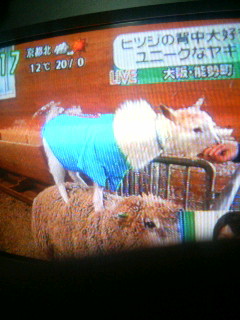 f:id:heimin:20100102042554j:image f:id:heimin:20100102042554j:image