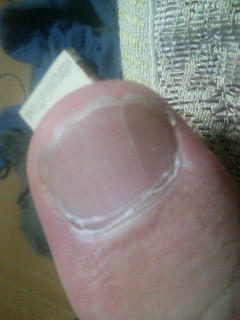 f:id:heimin:20100102042609j:image f:id:heimin:20100102042609j:image