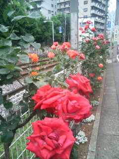 f:id:heimin:20100102042613j:image f:id:heimin:20100102042613j:image