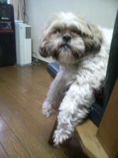 f:id:heimin:20100102042658j:image f:id:heimin:20100102042658j:image