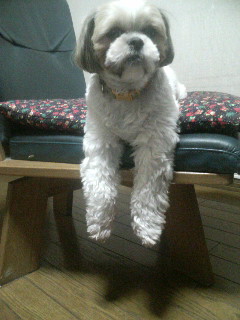 f:id:heimin:20100102042711j:image f:id:heimin:20100102042711j:image