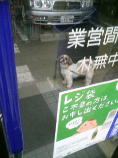 f:id:heimin:20100102042715j:image f:id:heimin:20100102042715j:image