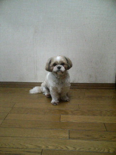 f:id:heimin:20100102042718j:image f:id:heimin:20100102042718j:image