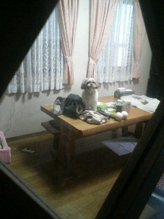 f:id:heimin:20100102042720j:image f:id:heimin:20100102042720j:image