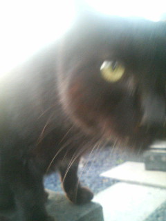 f:id:heimin:20100102042743j:image f:id:heimin:20100102042743j:image