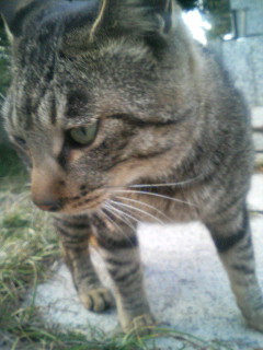 f:id:heimin:20100102042744j:image f:id:heimin:20100102042744j:image