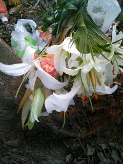 f:id:heimin:20100102042746j:image f:id:heimin:20100102042746j:image