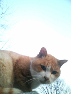 f:id:heimin:20100102042750j:image f:id:heimin:20100102042750j:image