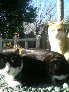 f:id:heimin:20100102042759j:image f:id:heimin:20100102042759j:image