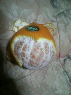 f:id:heimin:20100102042841j:image f:id:heimin:20100102042841j:image