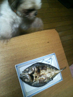 f:id:heimin:20100102042908j:image f:id:heimin:20100102042908j:image