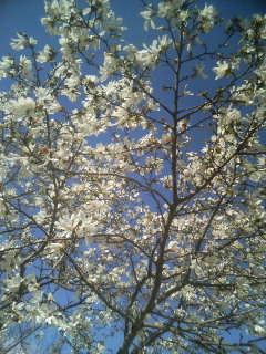 f:id:heimin:20100102042928j:image f:id:heimin:20100102042928j:image
