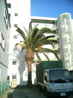 f:id:heimin:20100102042950j:image f:id:heimin:20100102042950j:image