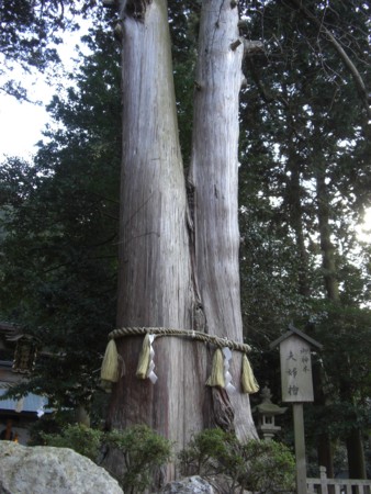 f:id:heisai:20130103143322j:image