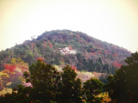 f:id:heisai:20130127161323j:image