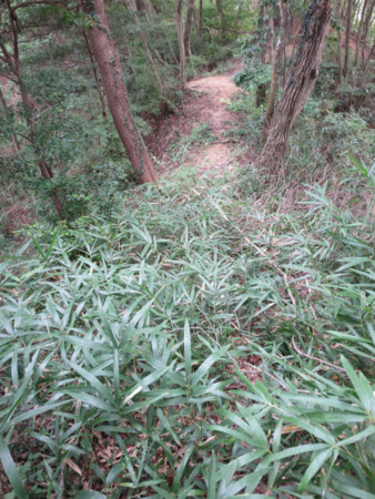 f:id:heisai:20150922011224j:image